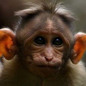 Meet your Posher, Timothy